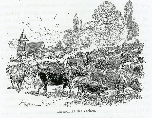 La montée des vaches dans la vallée de Cheylade